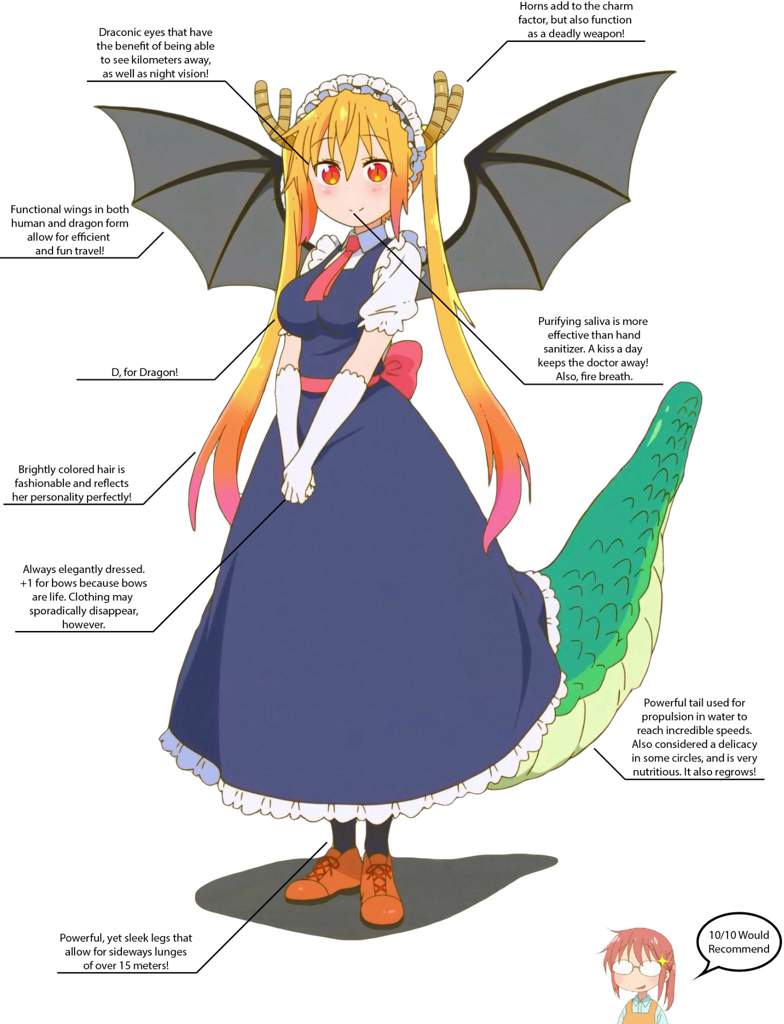 Featured image of post How Old Is Tohru In Human Years As years pass methyl groups accumulate in the dna causing certain genes to turn on and off