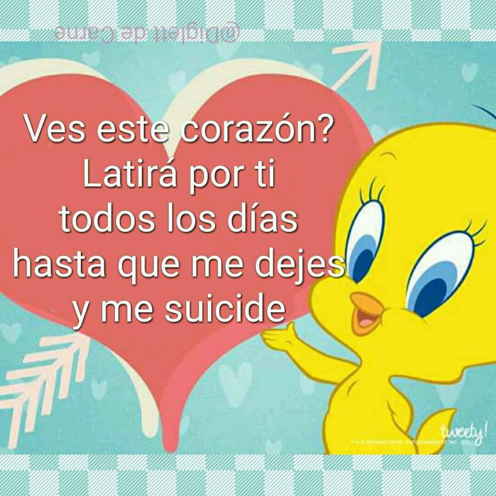 Frases de Piolin :v | Memes Amino • Español Amino