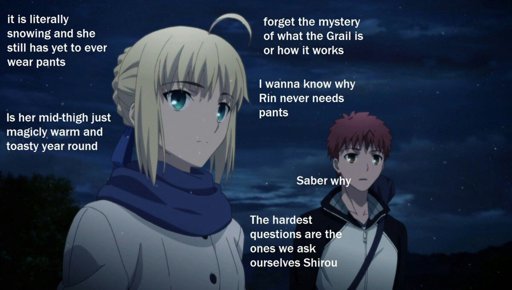 Shirou Is Best Wife For Saber Fate Stay Night Amino