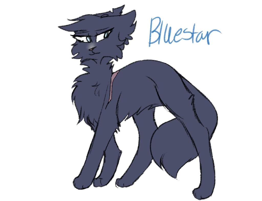 Warrior Cat Design/Drawing Every Warrior Cat (THUNDERCLAN B GROUP ...