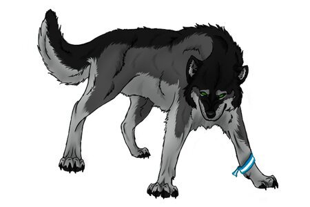 Levin | Wiki | Wolf Pack Amino Amino