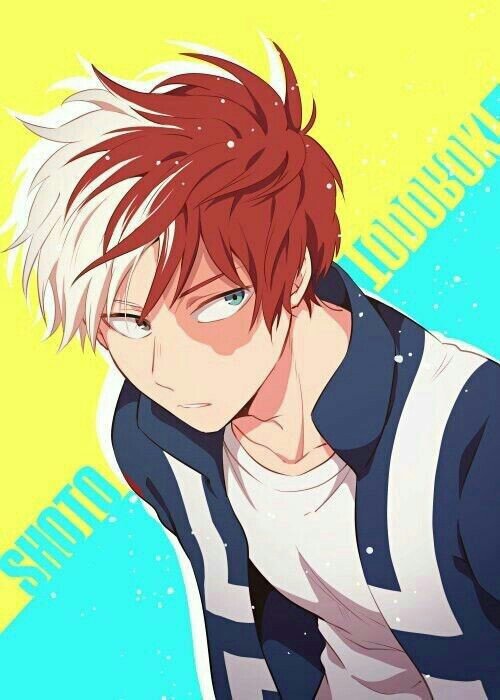 Shoto Todoroki | Wiki | Boku No Hero Academia Amino. Amino