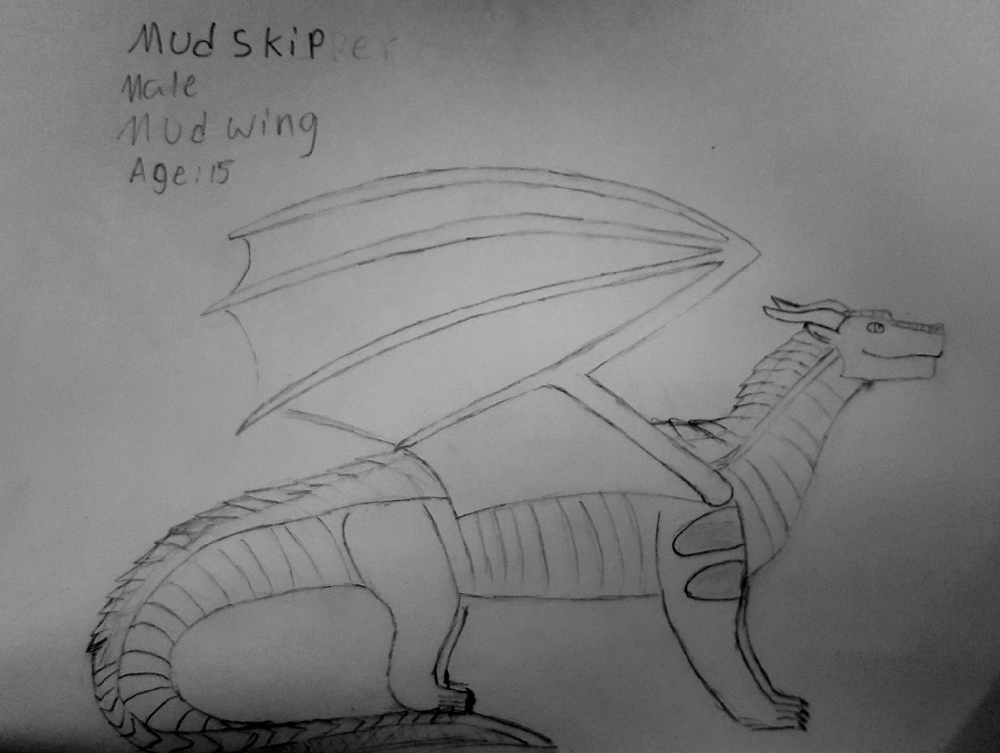 Mudskip the Mudwing | Wiki | Wings Of Fire Amino