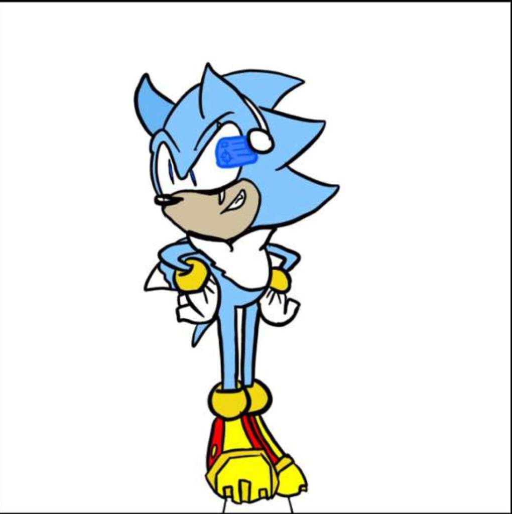 SKYLER | Wiki | Sonic the Hedgehog! Amino