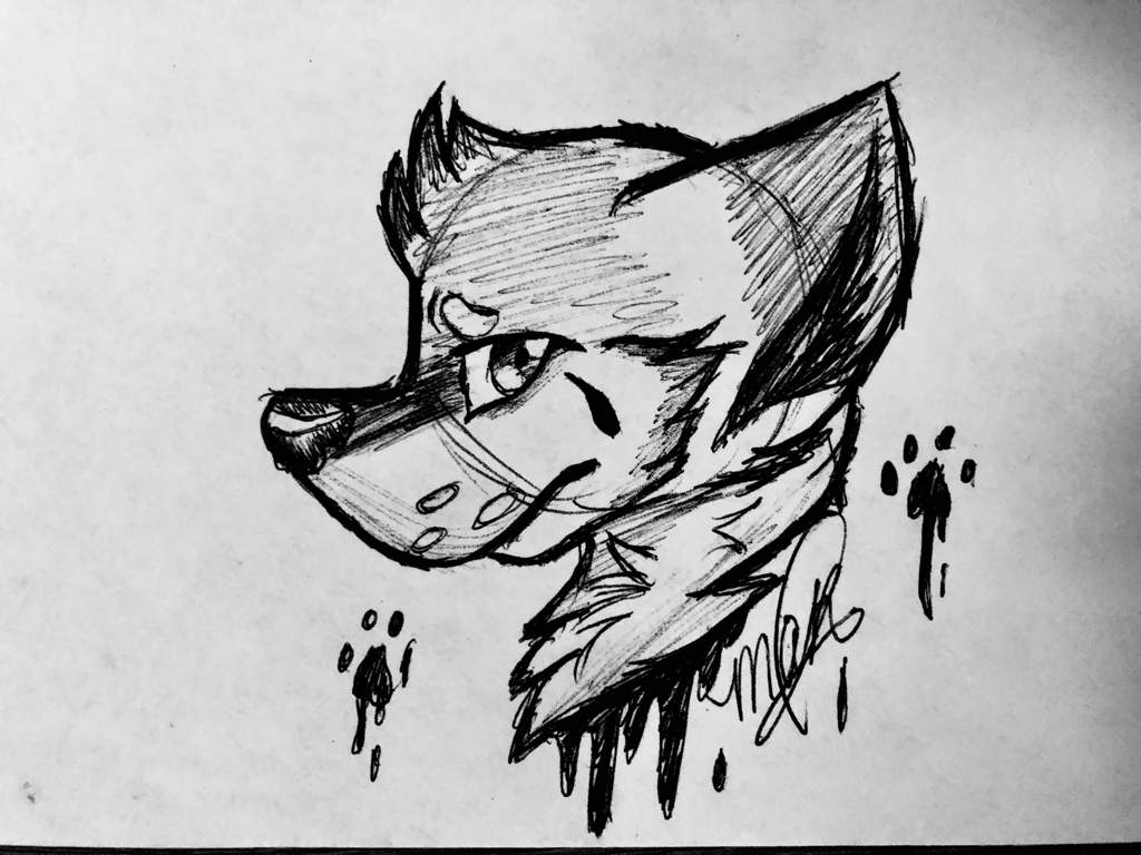 I did a doodle of an ink gore wolf. | Furry Amino