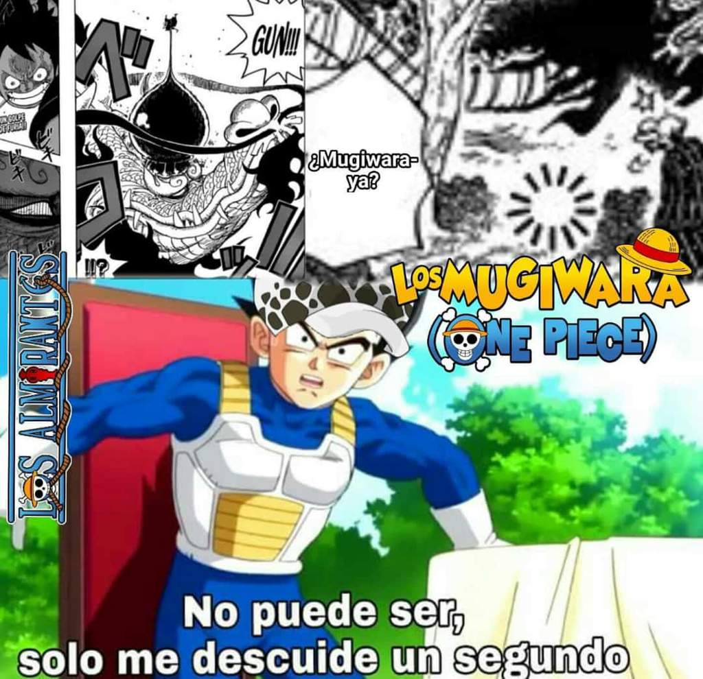 Memes One Piece Manga 922 One Piece Amino