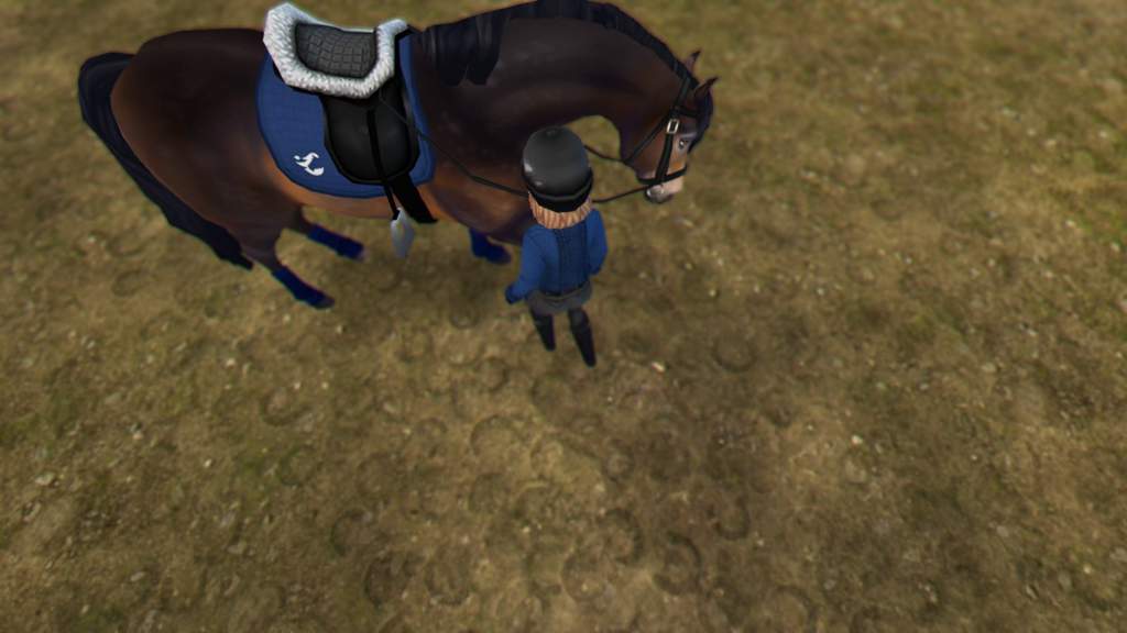 My Connemara Broke Her Leg | Star Stable Online Amino