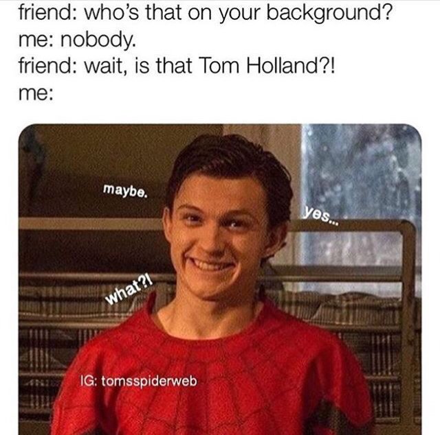 Here with some Tom Holland memes||Credit: instagram | Spider-Man Amino