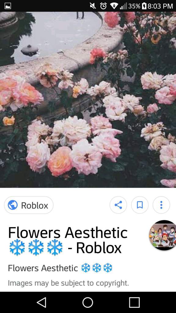 Another Edit No One Asked For Thomas Sanders Fans Amino Amino - aesthetic roblox garden