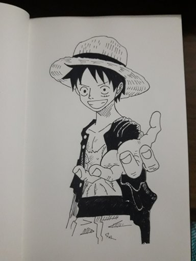 uma cópia da ilustração de Eiichiro Oda | Wiki | One Piece Brasil™ Amino