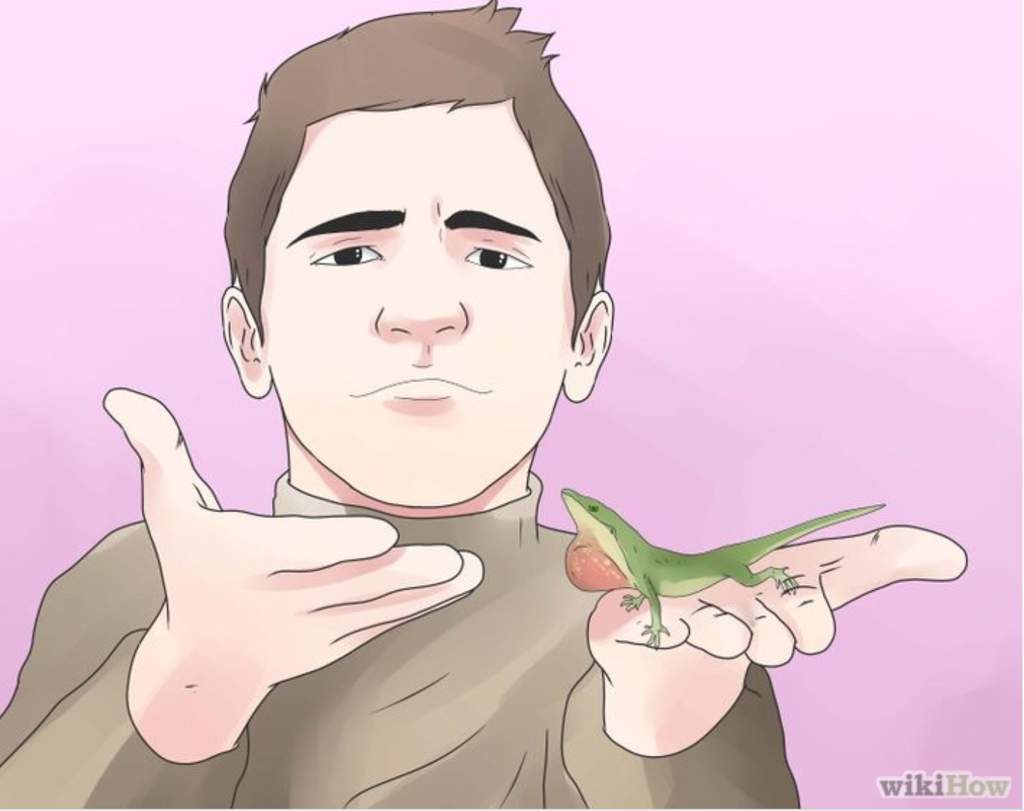 Wikihow Pictures Without Context Dank Memes Amino