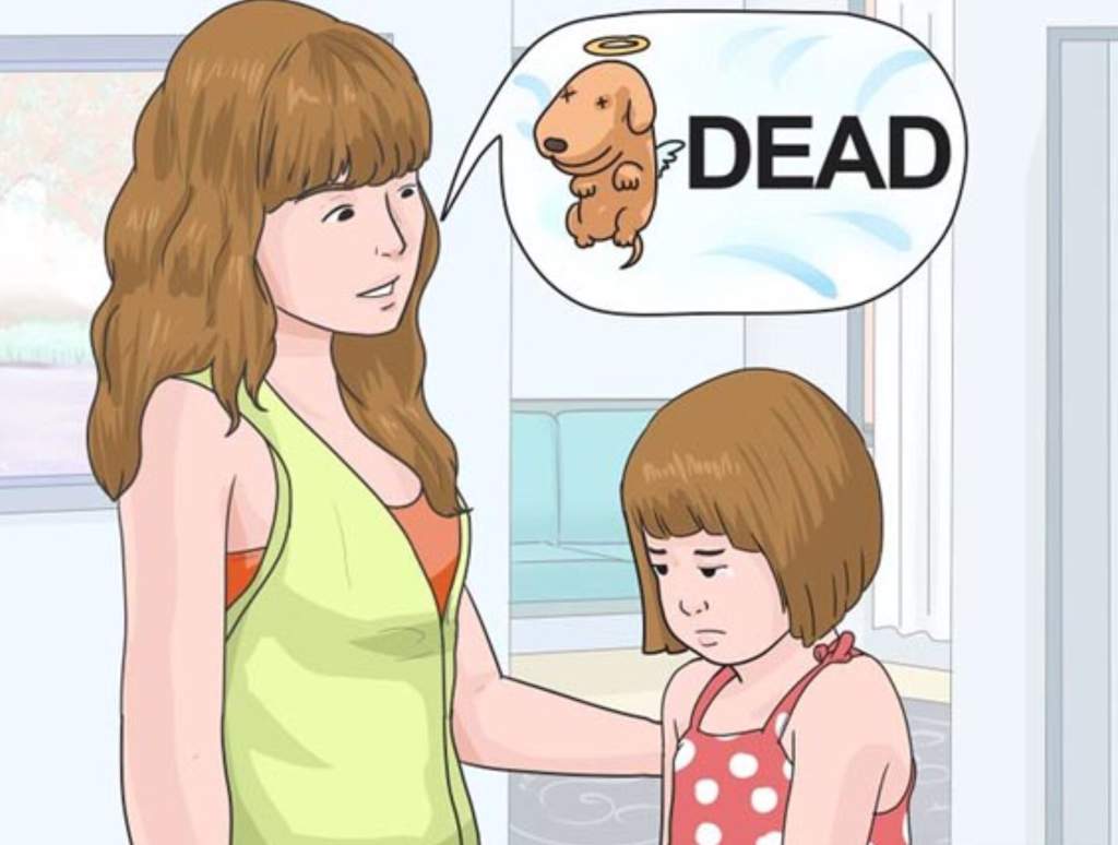 Wikihow pictures without context | Dank Memes Amino