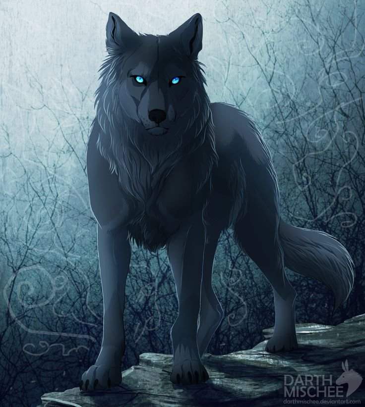 Wolfs Rp Wiki German Anime Amino