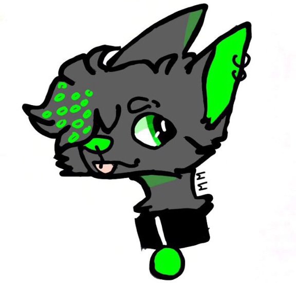 All My Main Ocs #6 | Wiki | Official Kittydog Amino Amino