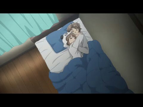 Seishun Buta Yarou wa Bunny Girl Senpai no Yume wo Minai | Anime Amino