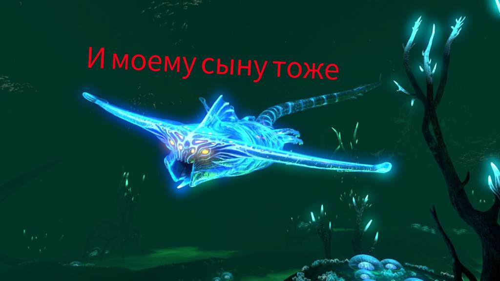 subnautica яйцо призрачного левиафана. Смотреть фото subnautica яйцо призрачного левиафана. Смотреть картинку subnautica яйцо призрачного левиафана. Картинка про subnautica яйцо призрачного левиафана. Фото subnautica яйцо призрачного левиафана