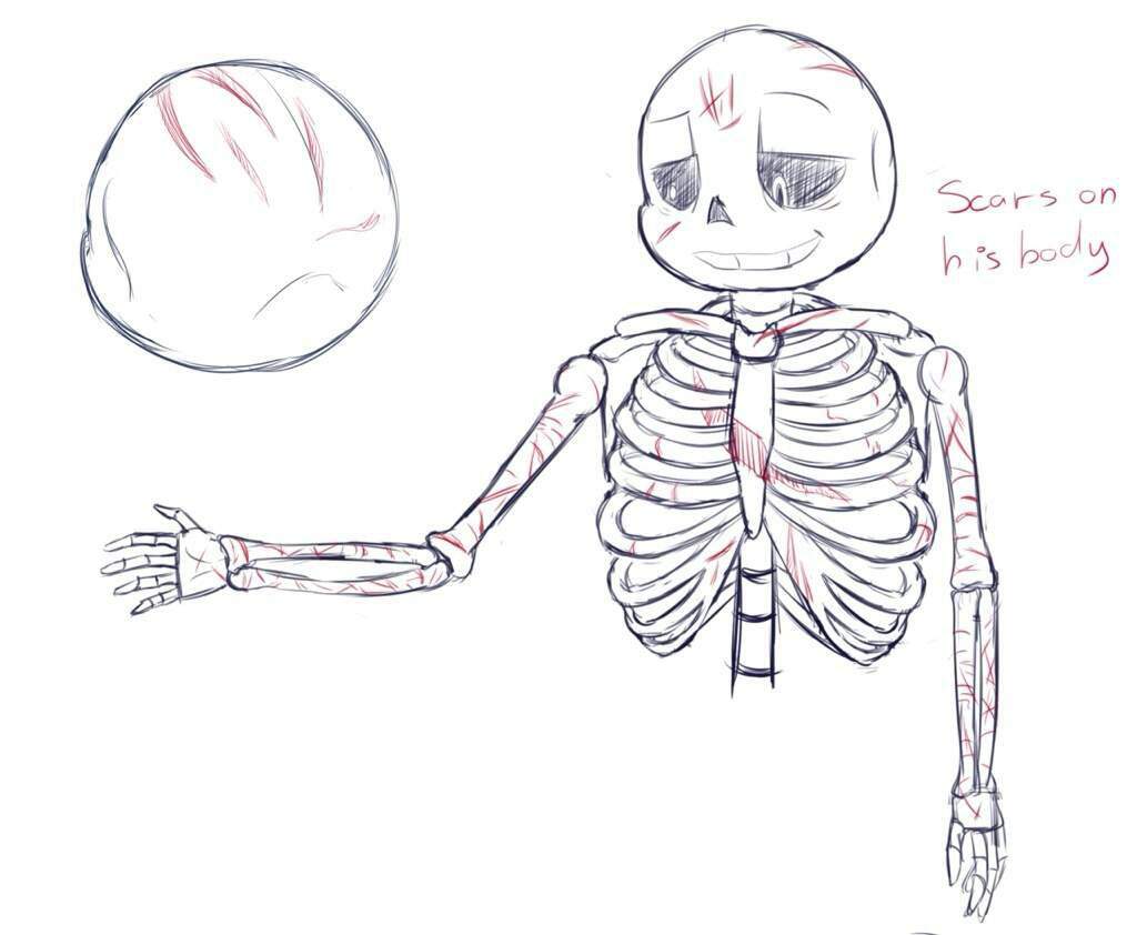 Скибидисты рисовать. Анатомия Санса. Анатомия скелета андертейл. Скелет Санс анатомия. Санс андертейл анатомия.
