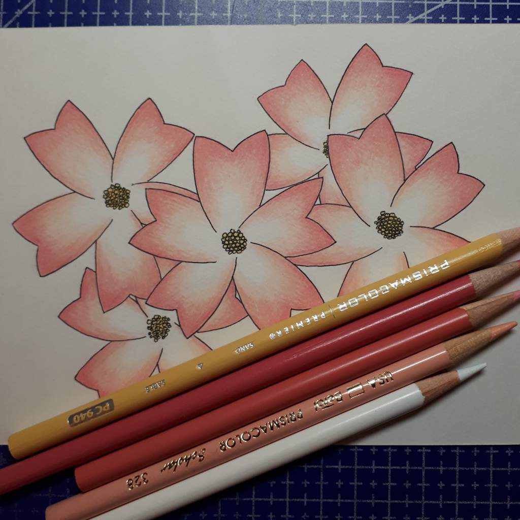 Colored Pencil Gradients Blending Demonstration and Tutorial 🎥YouTube