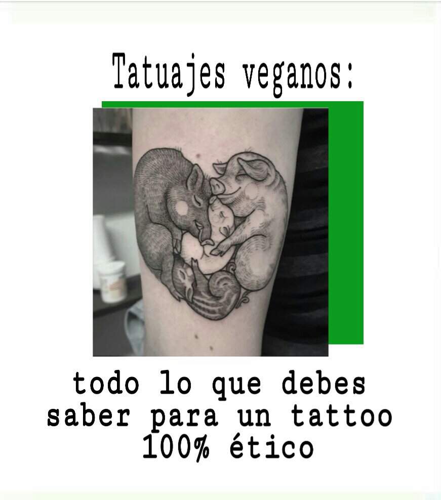 🌱tatuajes Veganos Todo Lo Que Debes Saber Para Un Tattoo 100 ético Love Tattoos Amino 1685