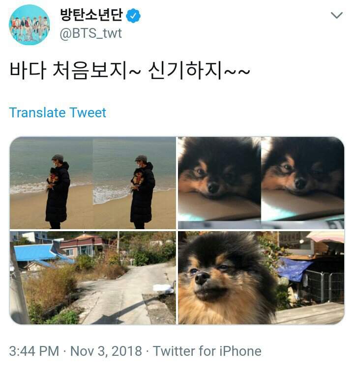 BTS Twitter updates 181103😍😍 | ARMY INDIA Amino