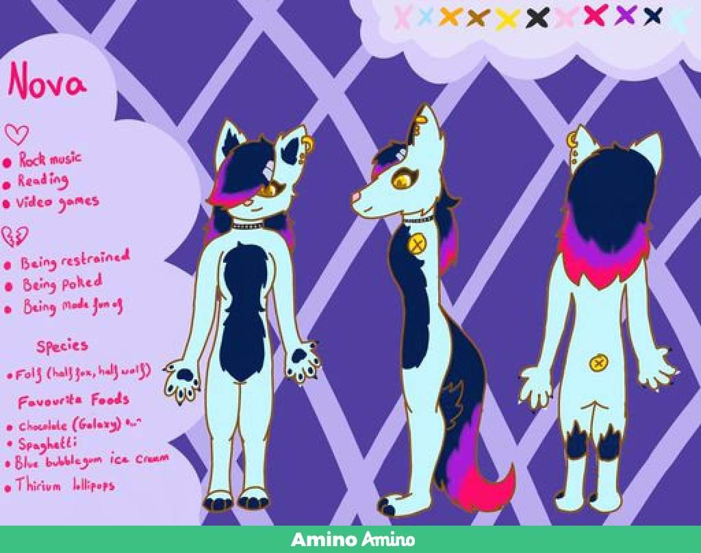 Ref Sheet Art Trade Furry Amino 6840