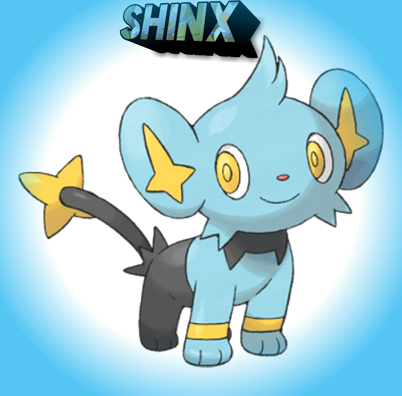 Shinx | Wiki | • Pokémon Amino - Brasil™ • Amino