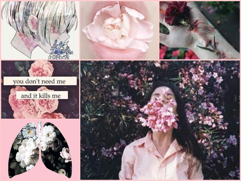 Hanahaki Disease Aesthetic World Amino