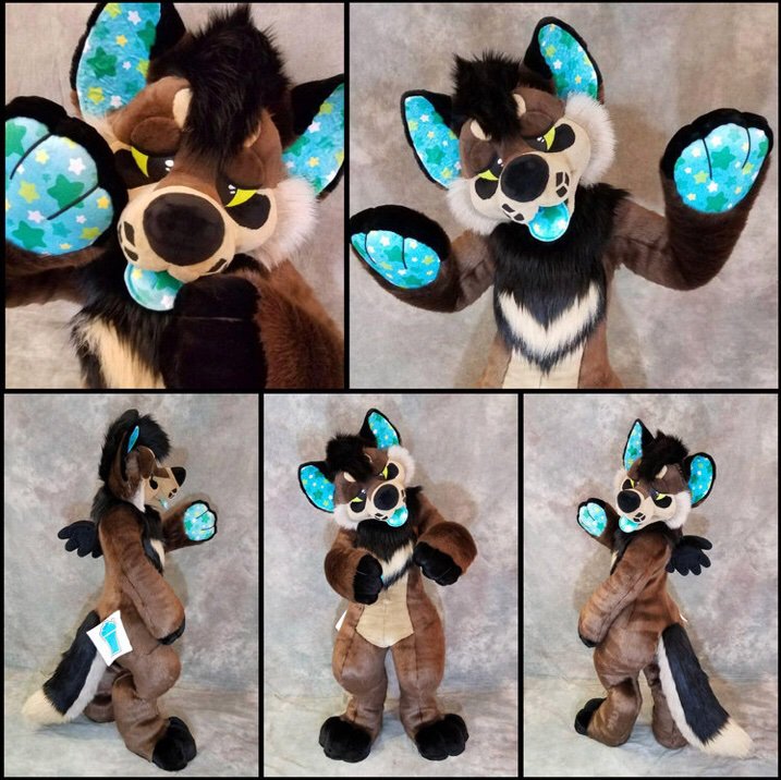 Multicolorbark | Wiki | Furry Amino