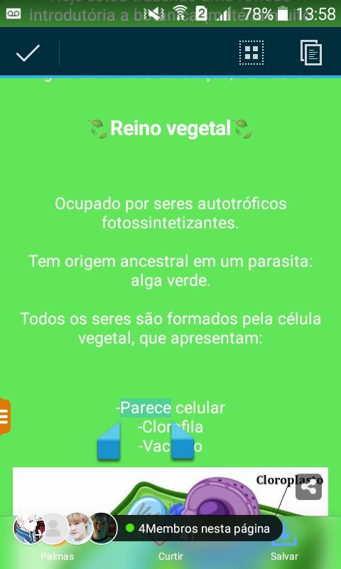 Revisão Bio BotÂnica Enem Amino Amino 1461