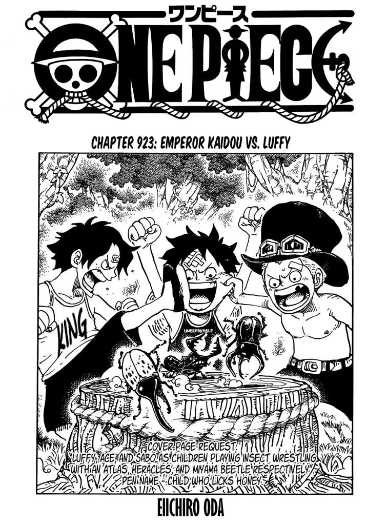 My Prediction For Chapter 924 Of Op Read Descriptions One Piece Amino