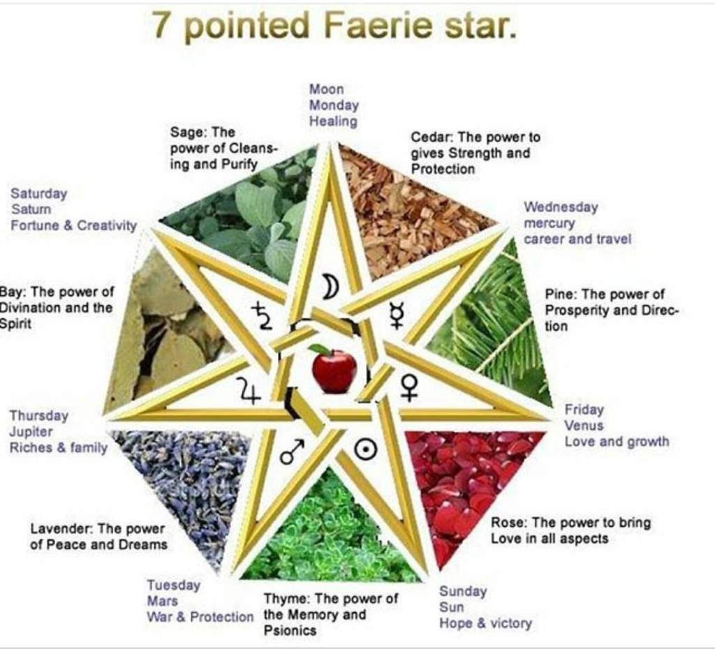 The Faery Star 