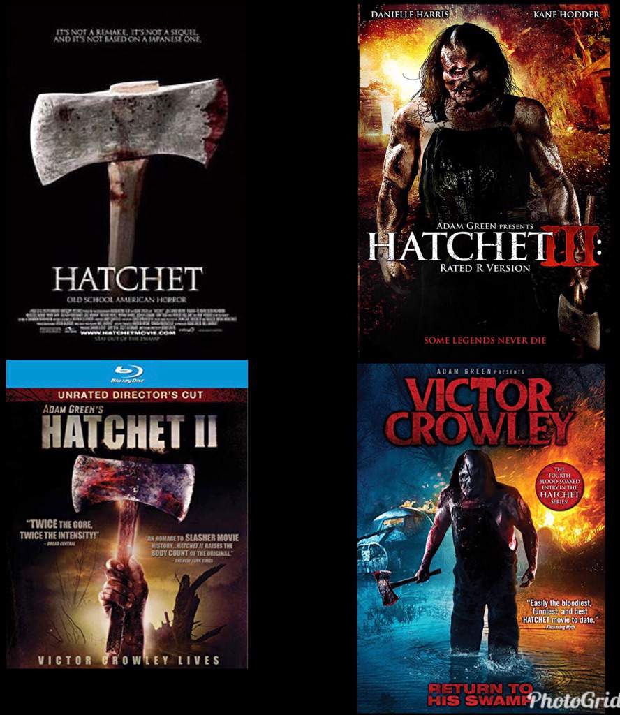 Hatchet Movie Gore