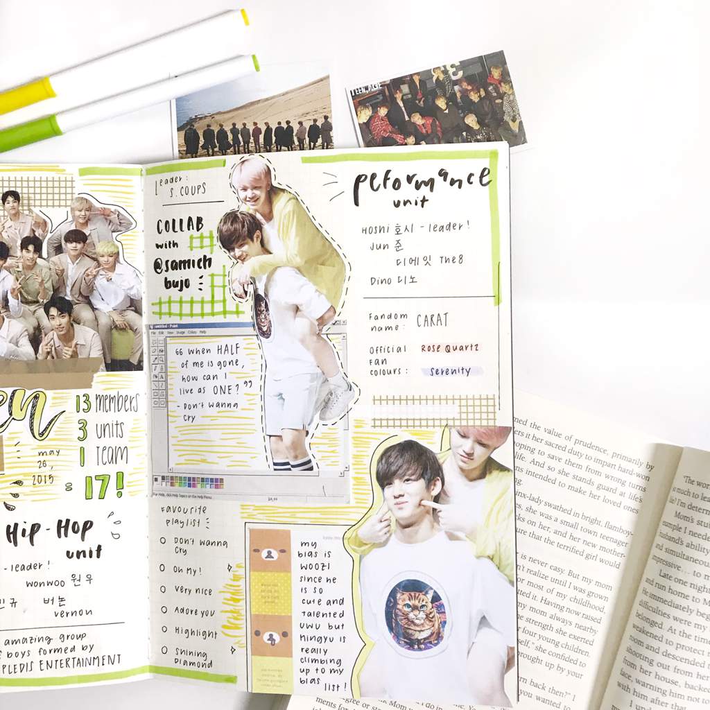 Seventeen’s Profile ! | Kpop Journals Amino