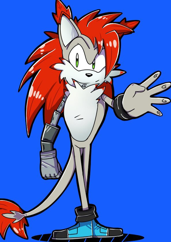 [RQ] zyro the hedgefox | Sonic the Hedgehog! Amino