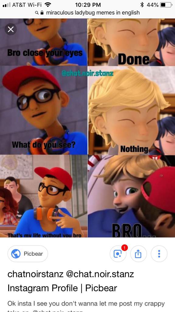 Ladybug And Cat Noir Memes English