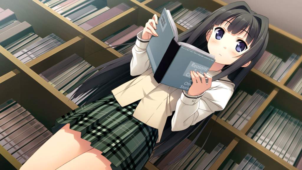 Your Diary Eroge English Patch