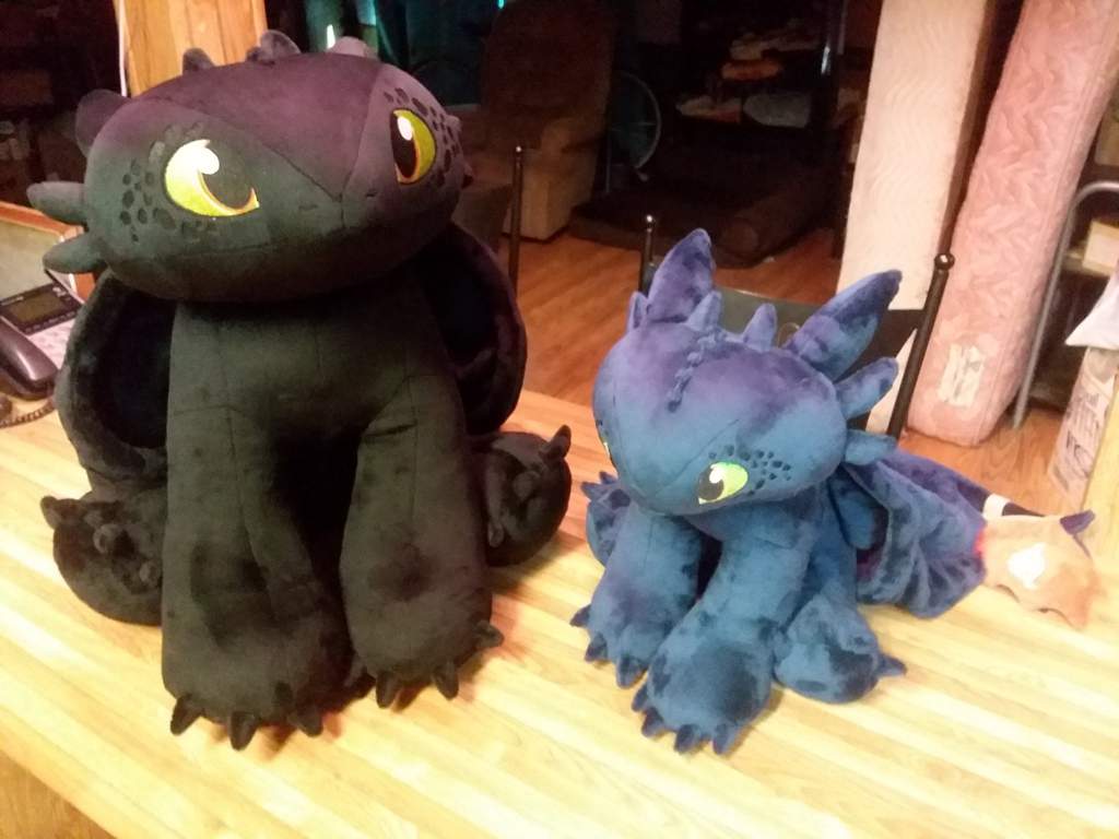 Giant 5ft Toothless plush - complete | H.T.T.Y.D Amino