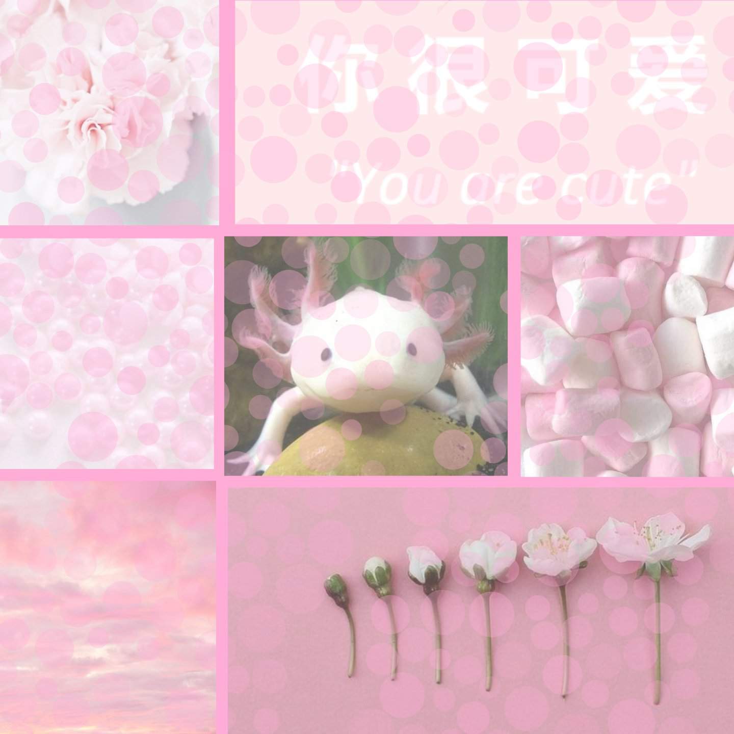 Aesthetic of my favorite animal | Object Shows Amino