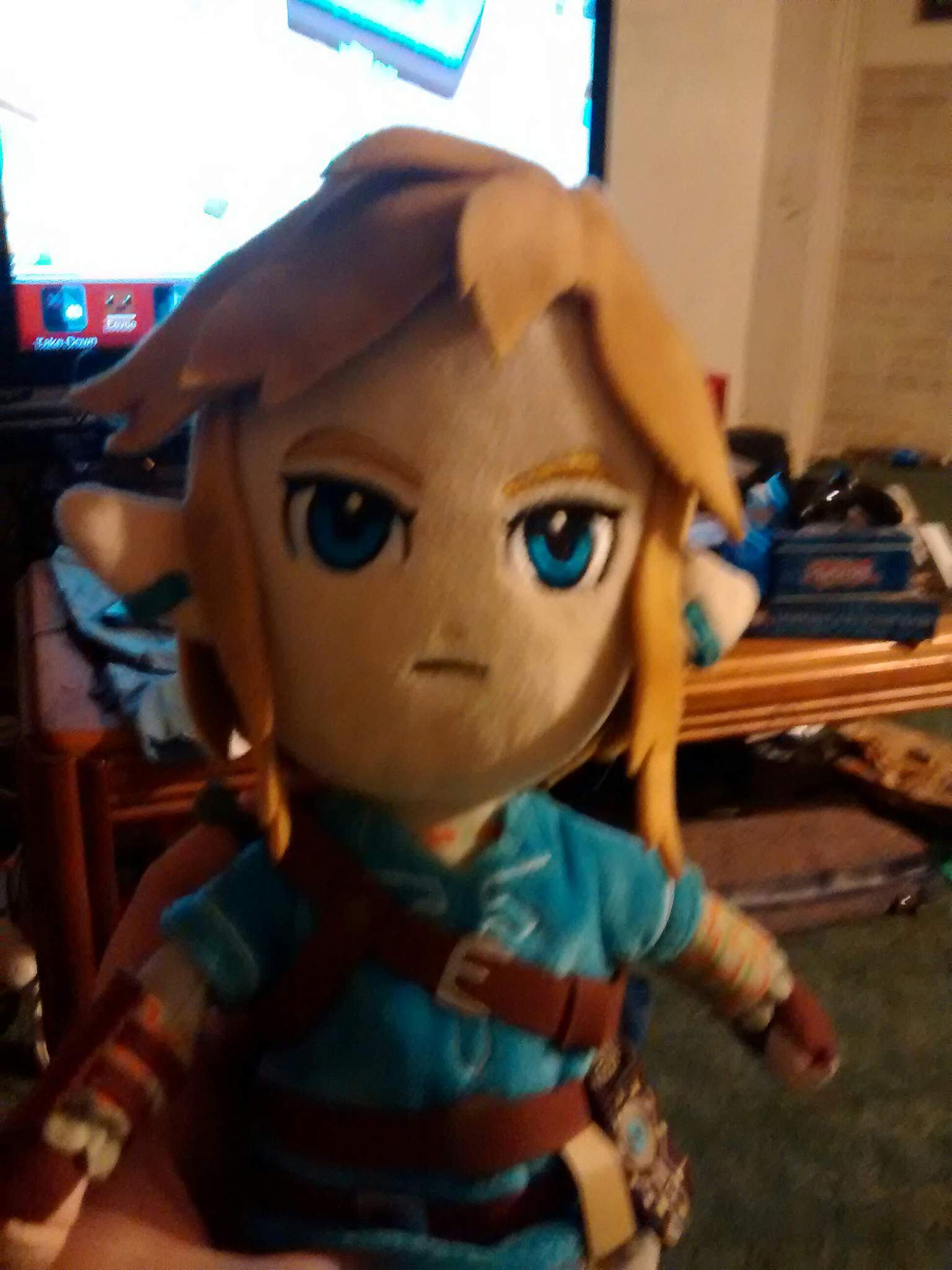 My Link Plushie | Zelda Amino