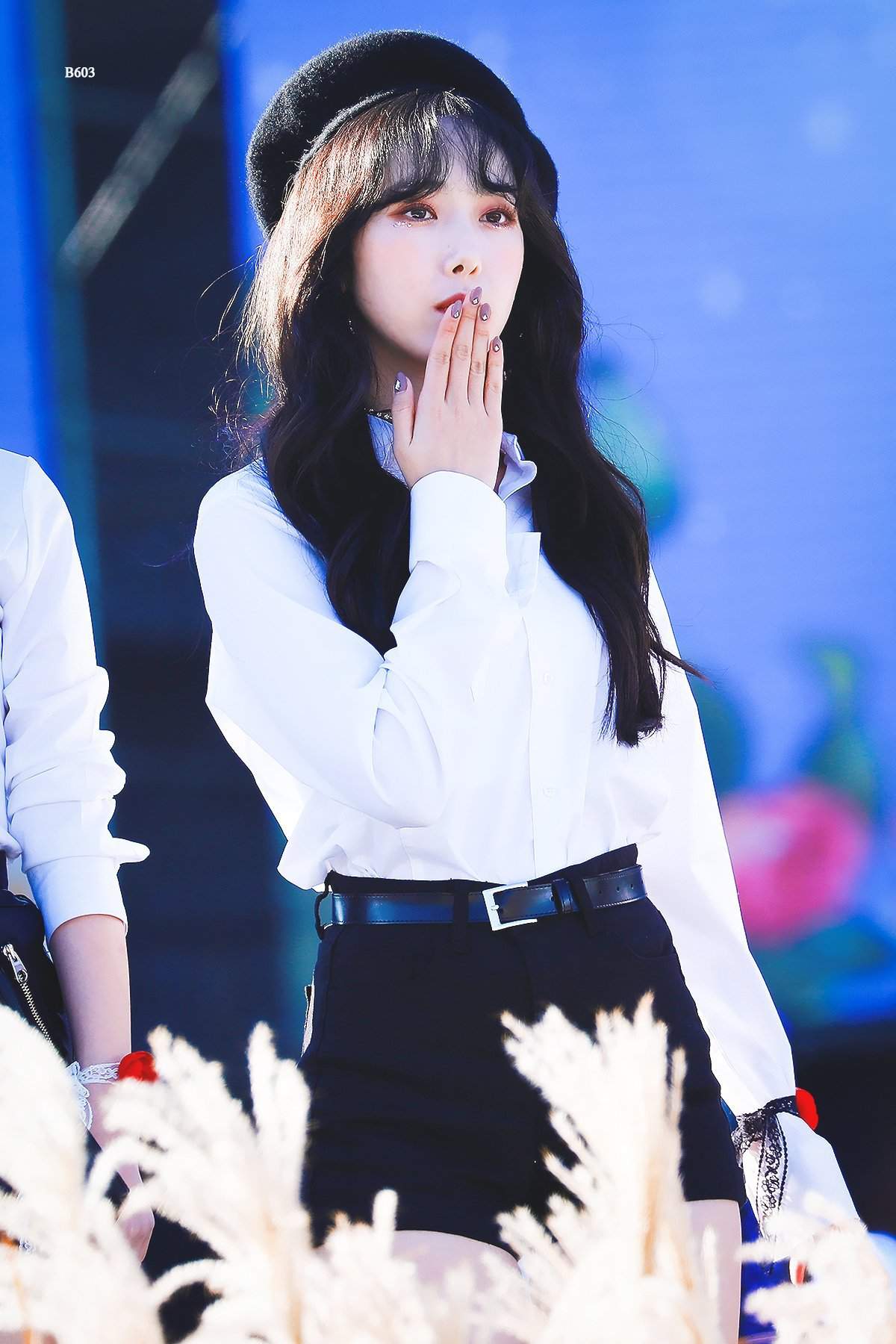 •SinB | Wiki | berry krp ;; Amino