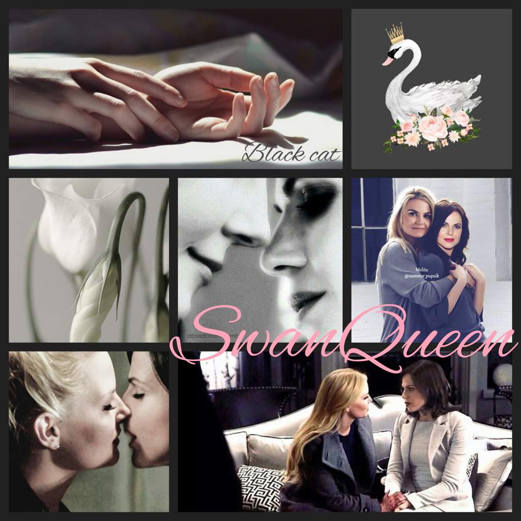 Для любителей SwanQueen. Часть 1-[C]◣✦◥▔▔▔▔▔▔▔▔▔▔▔◤✦◢

[BC]  :sparkles: Всем привет :sparkles: 

[C]◤✦◢▁▁▁▁▁▁▁▁▁▁▁◣✦◥

[C]☆゜・。。・゜゜・。。・゜★

[BC]Сегод