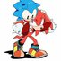 amino-Magnus The Hedgehog-91b6a753