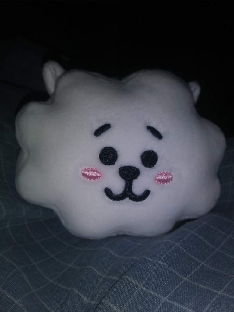 bt21 30cm plush koya