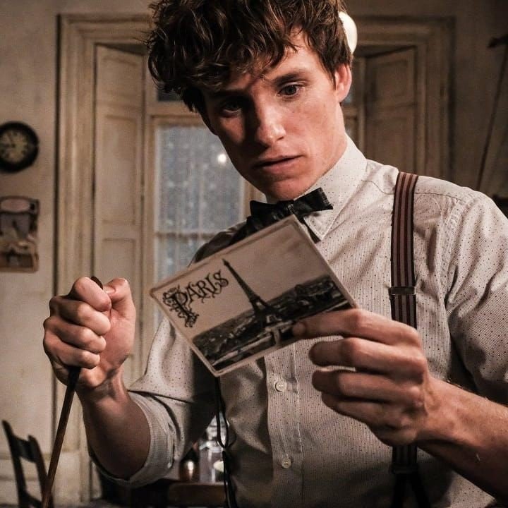 Newton Scamander Wiki Willkommen in Hogwarts Amino