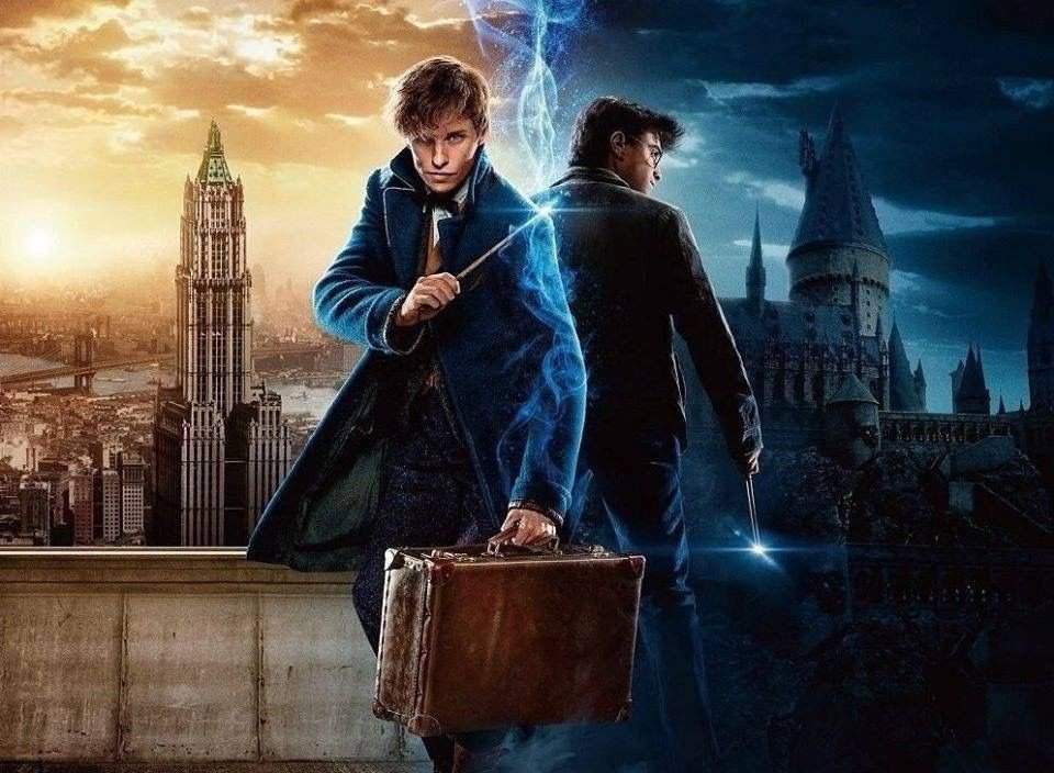 Newton Scamander | Wiki | Willkommen In Hogwarts Amino