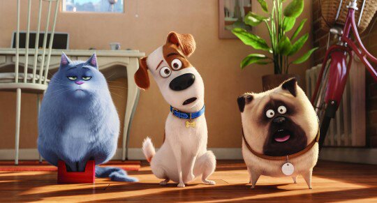 Thoughts on 🐶The secret life of pets🐱 2!!!!!!!! (2019) | Cartoon Amino