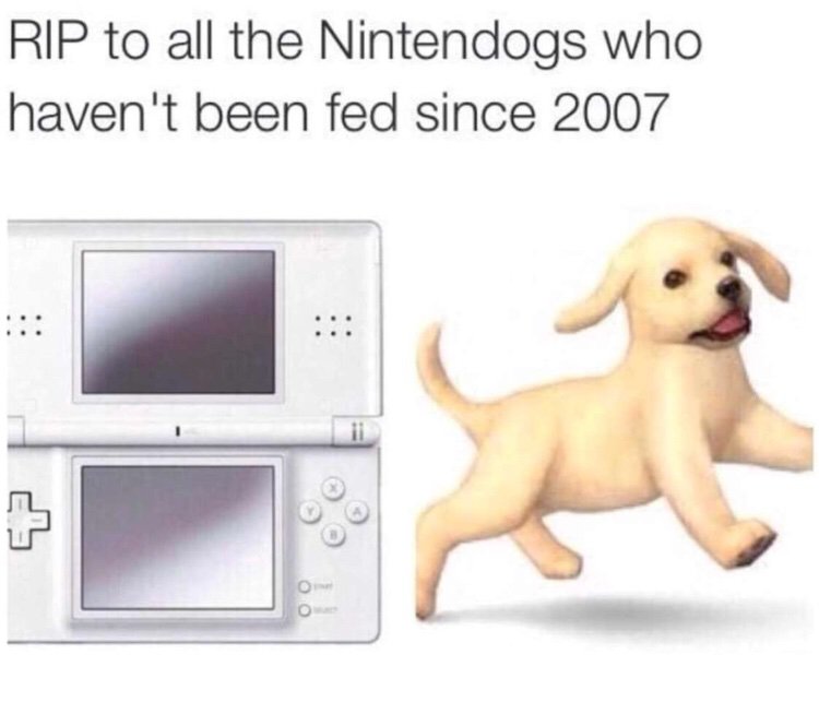 My duck is on drugs 👌 Memes_are_bae Amino