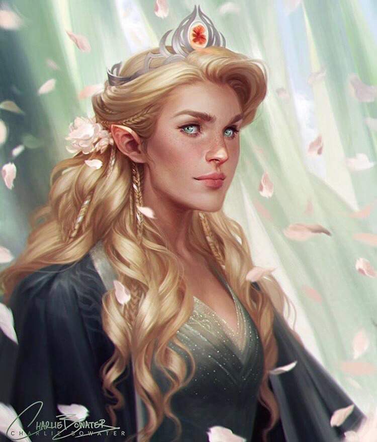 Aedion Ashryver | Wiki | Sarah J. Maas Amino