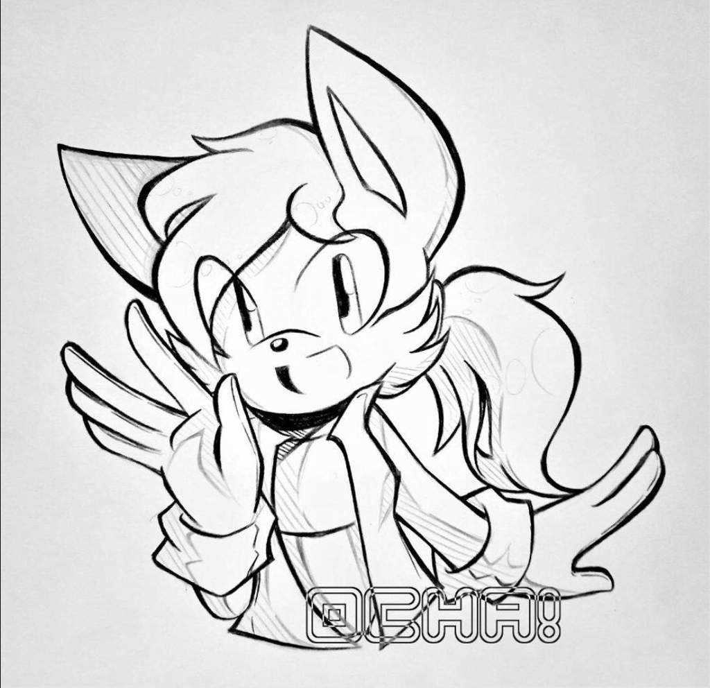 Dakota The Fox | Wiki | Sonic the Hedgehog! Amino