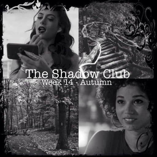 The Shadow Club Week 15 Shadowhunters Amino